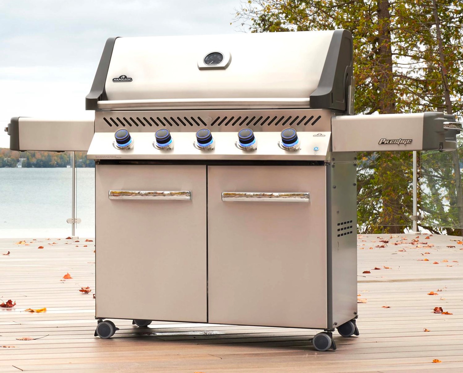 Background image for Napoleon Products (Infor VISUAL)